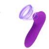 Body-safe silicone oral-sex suction vibrator with an ergonomic handle, waterproof, USB rechargeable. Great for clitoral stimulation.